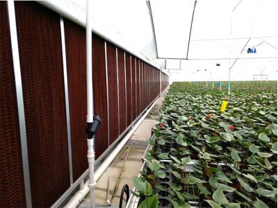 你了解水簾風機的保養(yǎng)事項嗎